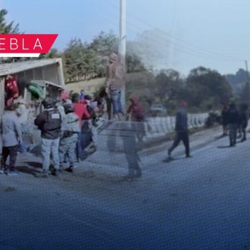 Vuelca tráiler con ganado y se desata la rapiña en la autopista Puebla-Córdoba