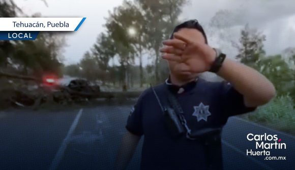 Policías golpean y detienen a reportero por grabar árbol caído en Tehuacán