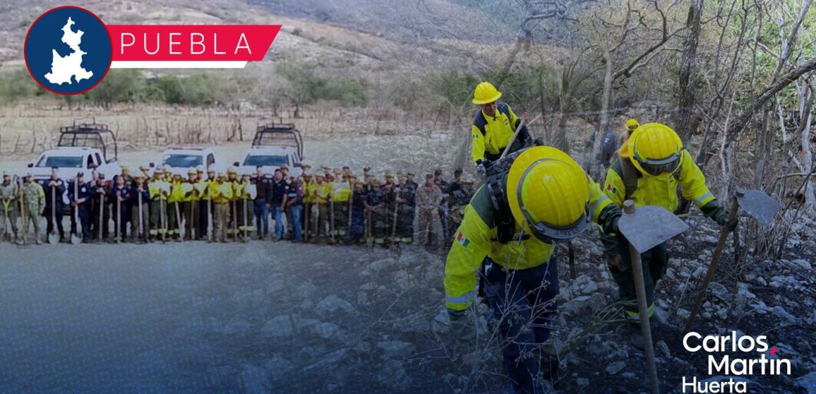 Logran sofocar incendio forestal sin daños a población en Cohetzala