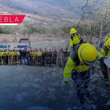 Logran sofocar incendio forestal sin daños a población en Cohetzala