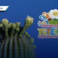 Zapotitlán Salinas invita al Festival Comunal de la Tetecha 2026