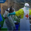 La OMS declara Emergencia Internacional por Brote de Ébola en el Congo y Uganda