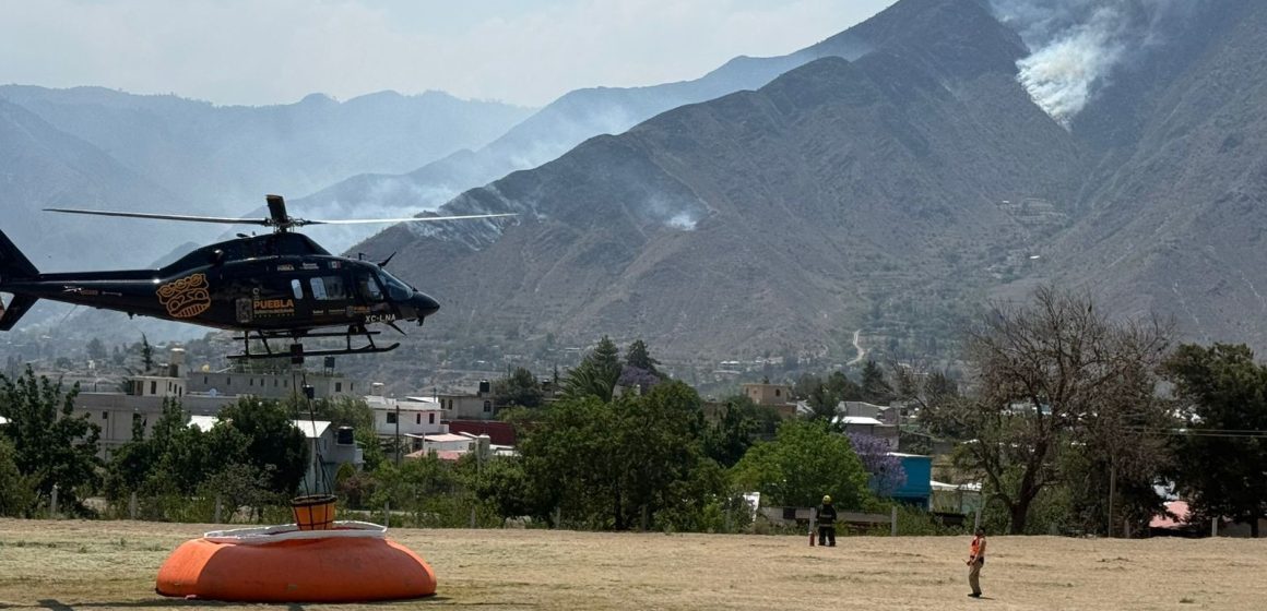 Incendio en Zautla, Puebla: reportan 80% de control y 70% de extinción gracias a brigadas y voluntarios