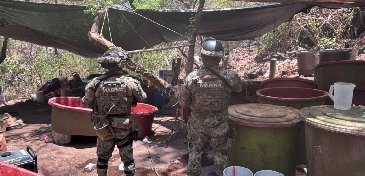 Autoridades federales desmantelan cinco laboratorios clandestinos en Jalisco, Nayarit y Sinaloa