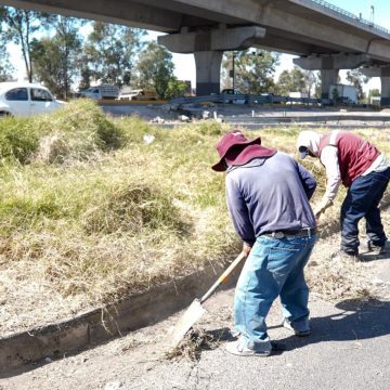 Transforma Gobierno de Pepe Chedraui más de 215 mil m² de bajo puentes en la capital