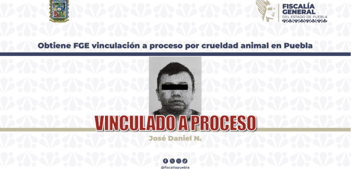 Le pasó el auto encima a propósito: Vinculan a sujeto por la muerte del perrito “Junior” en Puebla