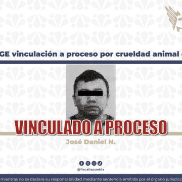 288 Le pasó el auto encima a propósito: Vinculan a sujeto por la muerte del perrito “Junior” en Puebla