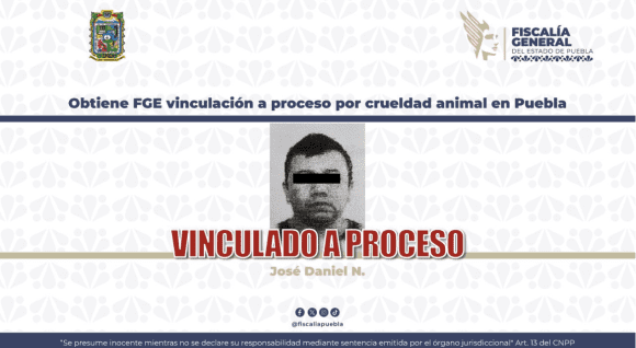 Le pasó el auto encima a propósito: Vinculan a sujeto por la muerte del perrito “Junior” en Puebla