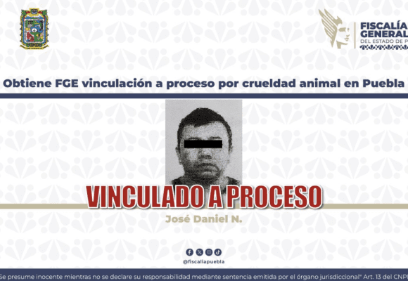Le pasó el auto encima a propósito: Vinculan a sujeto por la muerte del perrito “Junior” en Puebla