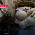 “90 minutos: la pasión del fútbol”: IMACP inaugura exposición artística en el marco de la Copa del Mundo 2026