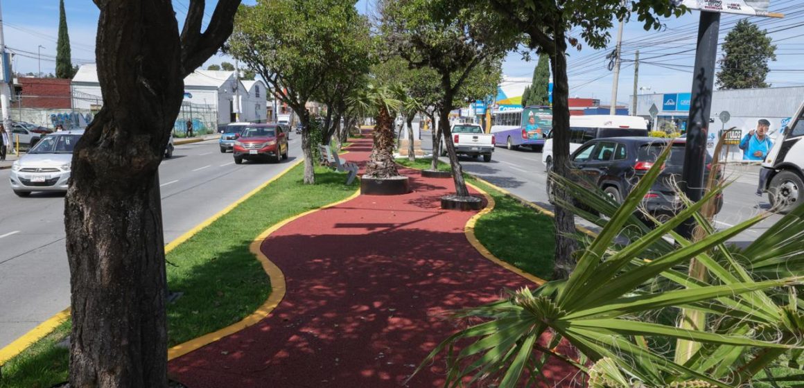 Paseo de Campeonas y Campeones honra el legado deportivo y transforma espacios públicos 