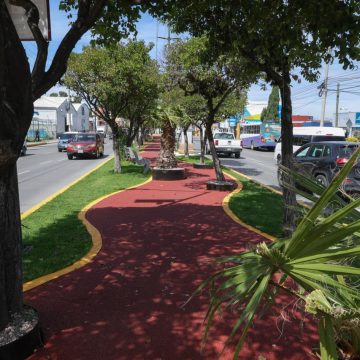 Paseo de Campeonas y Campeones honra el legado deportivo y transforma espacios públicos 