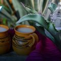 Atlixco se prepara para la Feria del Mezcal y el Pulque 2026
