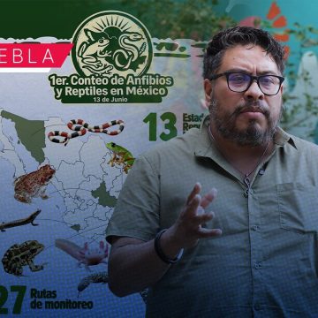 BUAP lidera el Primer Conteo Nacional de Anfibios y Reptiles 2026 BUAP lidera el Primer Conteo Nacional de Anfibios y Reptiles 2026