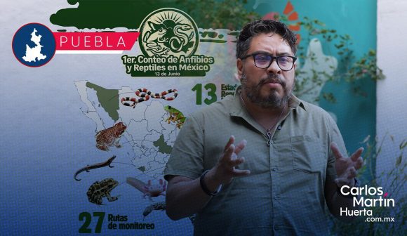 BUAP lidera el Primer Conteo Nacional de Anfibios y Reptiles 2026 BUAP lidera el Primer Conteo Nacional de Anfibios y Reptiles 2026