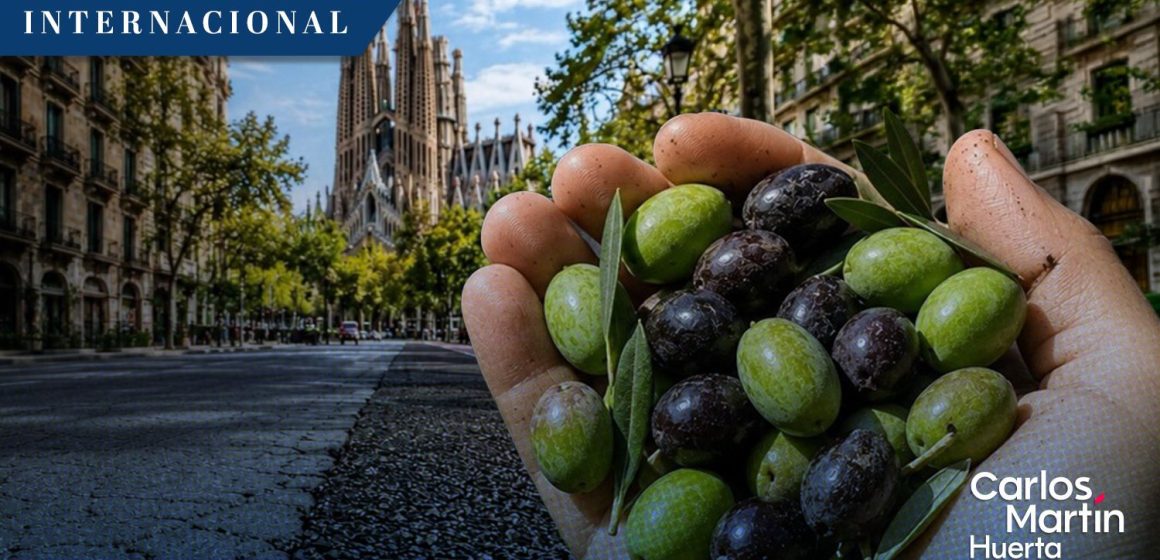 Barcelona transformará huesos de aceituna en asfalto para sus calles