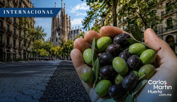 Barcelona transformará huesos de aceituna en asfalto para sus calles