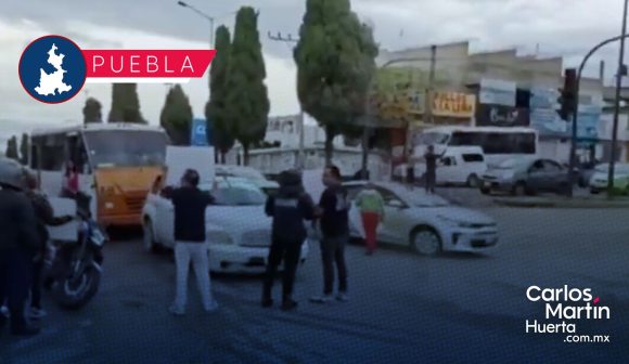Vecinos de Bosques de San Sebastián denuncian tala ilegal de árboles por empresa privada
