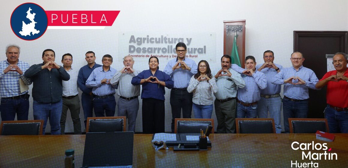 Gobierno estatal consolida acciones sanitarias para incrementar productividad de la caña de azúcar