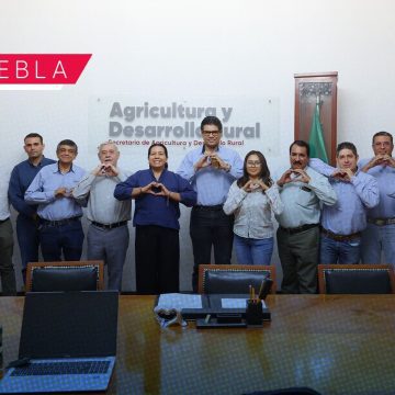 Gobierno estatal consolida acciones sanitarias para incrementar productividad de la caña de azúcar