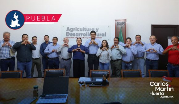 Gobierno estatal consolida acciones sanitarias para incrementar productividad de la caña de azúcar
