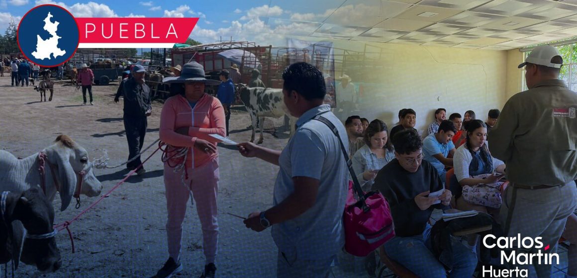 Intensifica SADR acciones de prevención y vigilancia para frenar el gusano barrenador