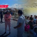 Intensifica SADR acciones de prevención y vigilancia para frenar el gusano barrenador