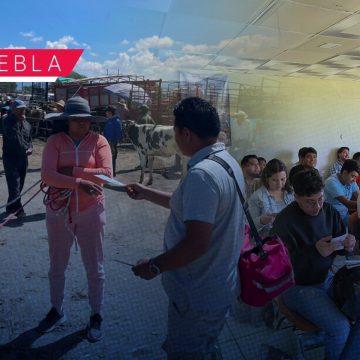 Intensifica SADR acciones de prevención y vigilancia para frenar el gusano barrenador
