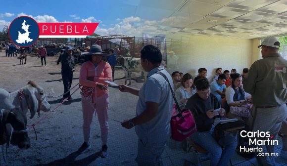 Intensifica SADR acciones de prevención y vigilancia para frenar el gusano barrenador