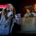La Casa de la Cultura recibirá el Festival de Monólogos “Teatro a una sola voz” 2026