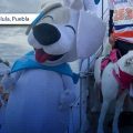 Más de 600 perritos participaron en la carrera “Pa´todas las razas” 2026