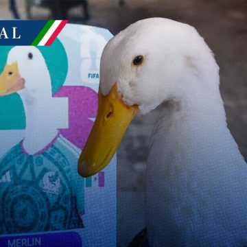 Marca “Pato Merlín” pertenece a la familia Gómez; aclara el IMPI