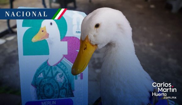Marca “Pato Merlín” pertenece a la familia Gómez; aclara el IMPI