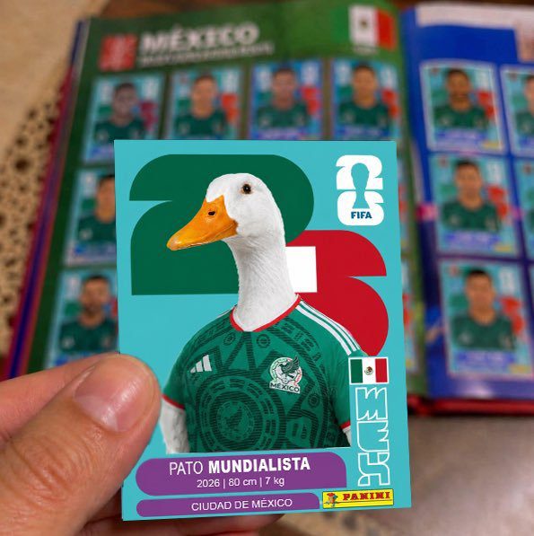 Pato Merlin estampa del Mundial