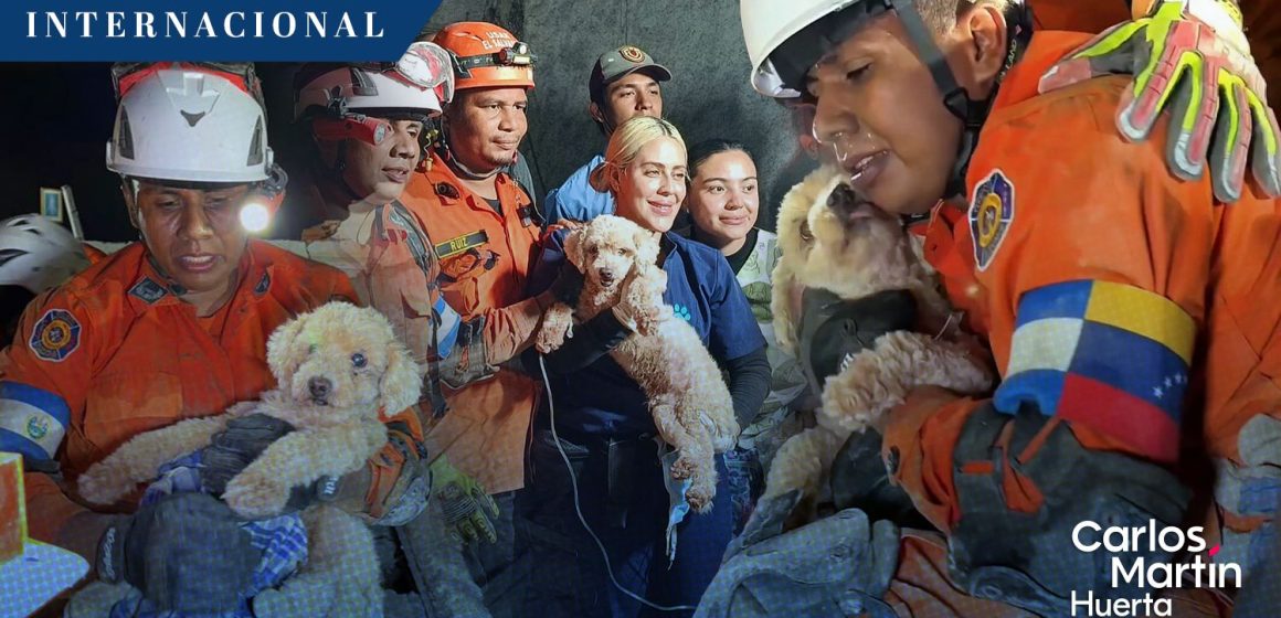 Rescaste perrita Giselle Venezuela Final feliz: Perrita ‘Giselle’ fue rescatada de entre los escombros en Venezuela