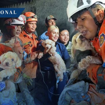 Final feliz: Perrita ‘Giselle’ fue rescatada de entre los escombros en Venezuela