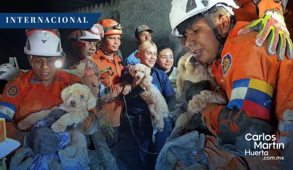 Final feliz: Perrita ‘Giselle’ fue rescatada de entre los escombros en Venezuela