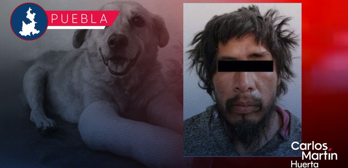 ¡JUSTICIA! Condenan con 8 años de prisión a Luis N por crueldad animal en Santiago Miahuatlán
