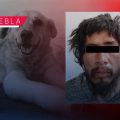 ¡JUSTICIA! Condenan con 8 años de prisión a Luis N por crueldad animal en Santiago Miahuatlán