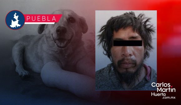 ¡JUSTICIA! Condenan con 8 años de prisión a Luis N por crueldad animal en Santiago Miahuatlán