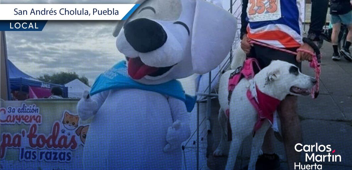 Más de 600 perritos participaron en la carrera “Pa´todas las razas” 2026