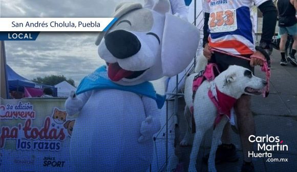 Más de 600 perritos participaron en la carrera “Pa´todas las razas” 2026