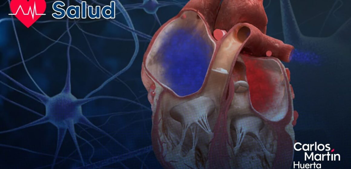 ¡Avance médico! Diseñan el primer mapa 3D del sistema eléctrico de un corazón con tetralogía de Fallot