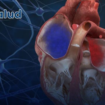 ¡Avance médico! Diseñan el primer mapa 3D del sistema eléctrico de un corazón con tetralogía de Fallot