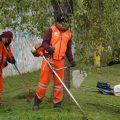 Realizan megajornada de limpieza y chapeo en la zona del Seminario Palafoxiano