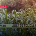 Hallan cadáver con huellas de violencia en San Miguel Canoa
