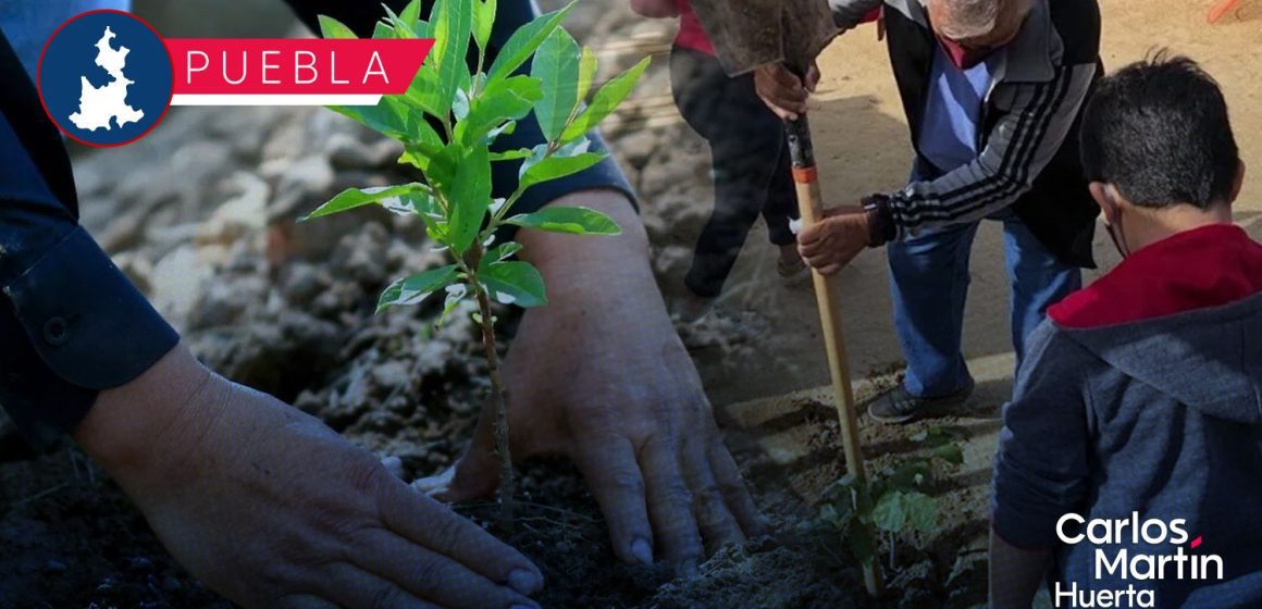 WhatsApp Image 2026-06-23 at 11.41.54 AM SEP reforestará 30 hectáreas con 50 mil árboles en mil escuelas de Puebla