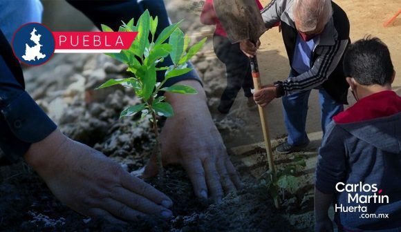 SEP reforestará 30 hectáreas con 50 mil árboles en mil escuelas de Puebla