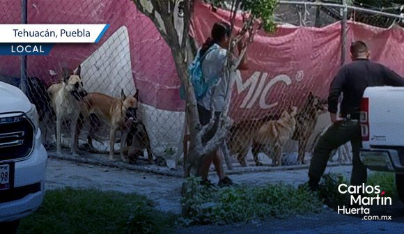 Bienestar Animal interviene vivienda en Tehuacán tras violento ataque canino