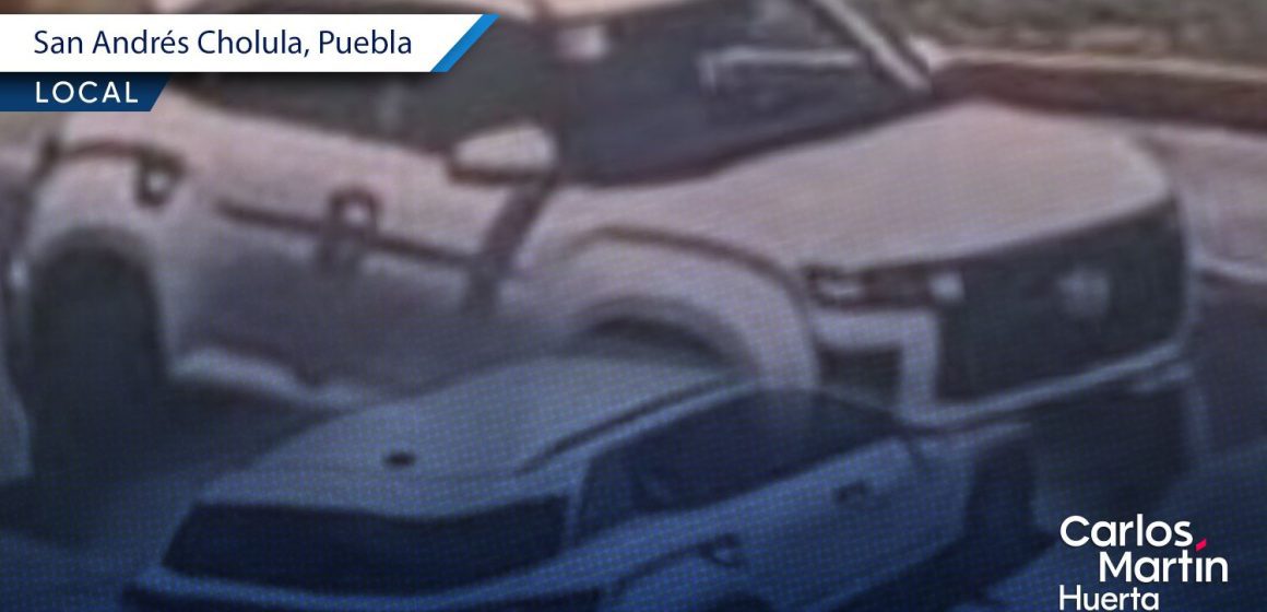 Cazan a perritos desde camioneta en movimiento en Tlaxcalancingo
